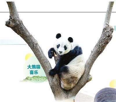 天津动物园爆料事件最新,揭秘动物福利与饲养真相